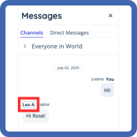 Messages - Channel Msg Other Users Name Message - Highlight - Frame