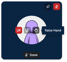 Square video tile showing a user named Steve with a purple avatar icon. A tooltip labeled ‘Raise Hand’ appears above the raised hand button in the center of the tile.