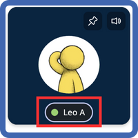 Video Tile - Other Users Name - Highlight - Frame